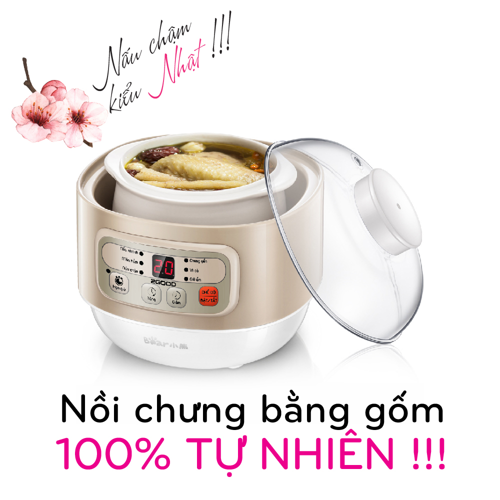 Nồi hầm cháo, chưng yến, tiềm gà cao cấp 2Good Bear A08 (bảng điều khiển cảm ứng, chống trào, cạn nước tự động tắt) - Hàng Chính Hãng