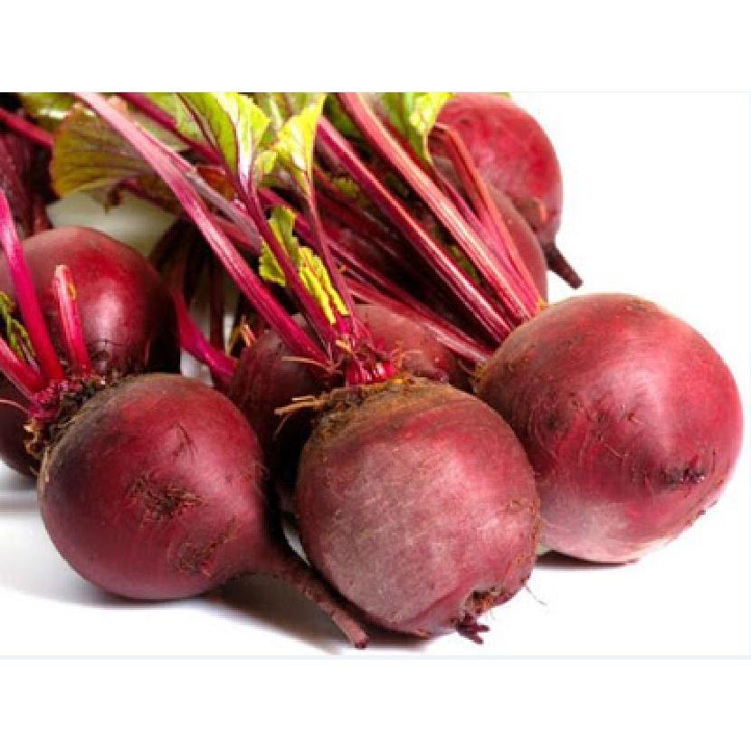 Hạt giống Củ Dền Đỏ -