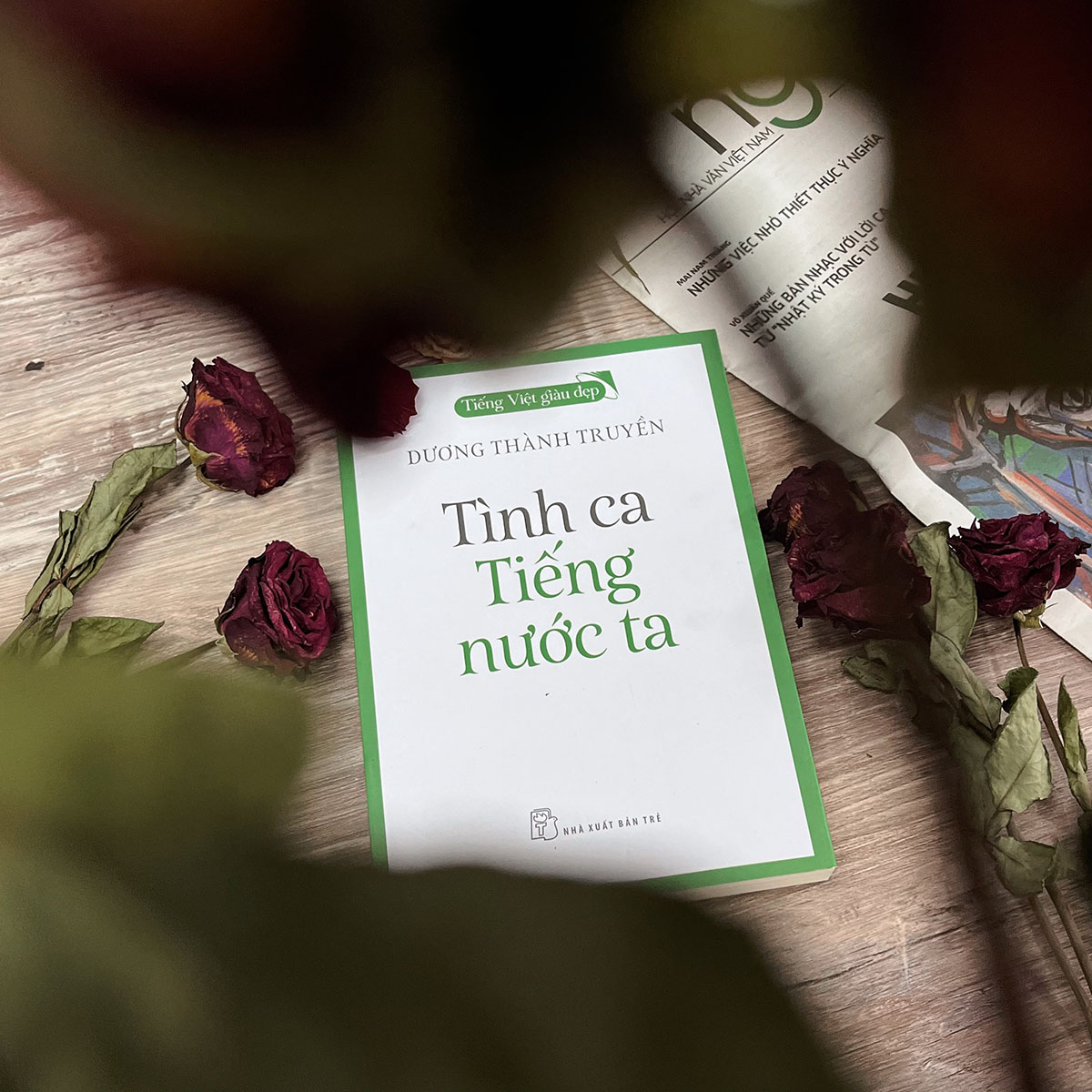 Tiếng Việt giàu đẹp - Tình ca Tiếng nước ta