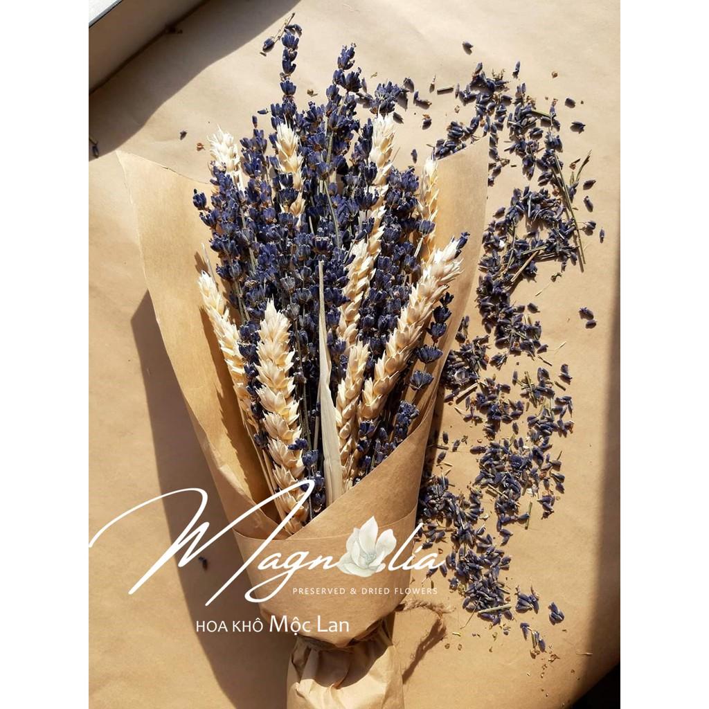 Hoa khô Decor nhà cửa ️️ Hoa Lúa mạch khô ITALY retro vinatge, trang trí cưới