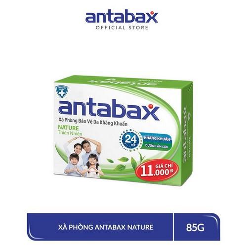 Combo 4 Xà Phòng Bảo Vệ Da Kháng Khuẩn Nature Thiên Nhiên Antabax 85g