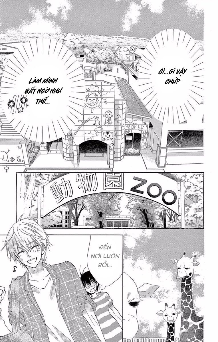 suteinu ni honey toast chapter 4 11