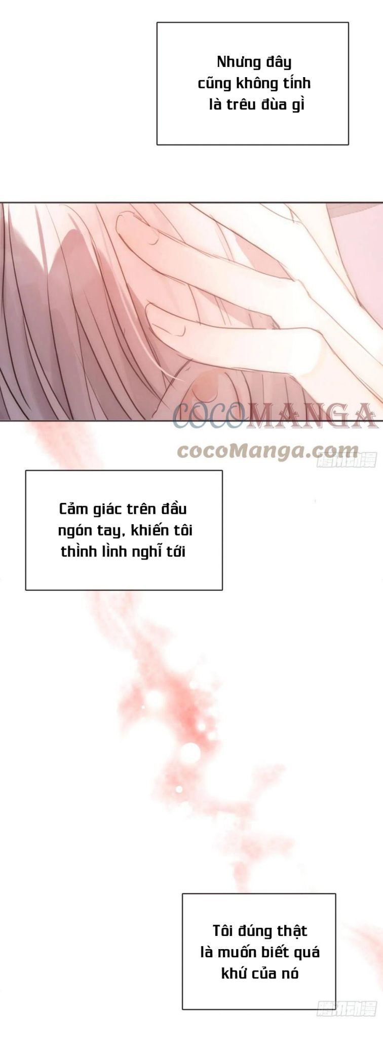 Thỉnh Cùng Ta Đồng Miên-Xin Hãy Ngủ Cùng Ta chapter 53