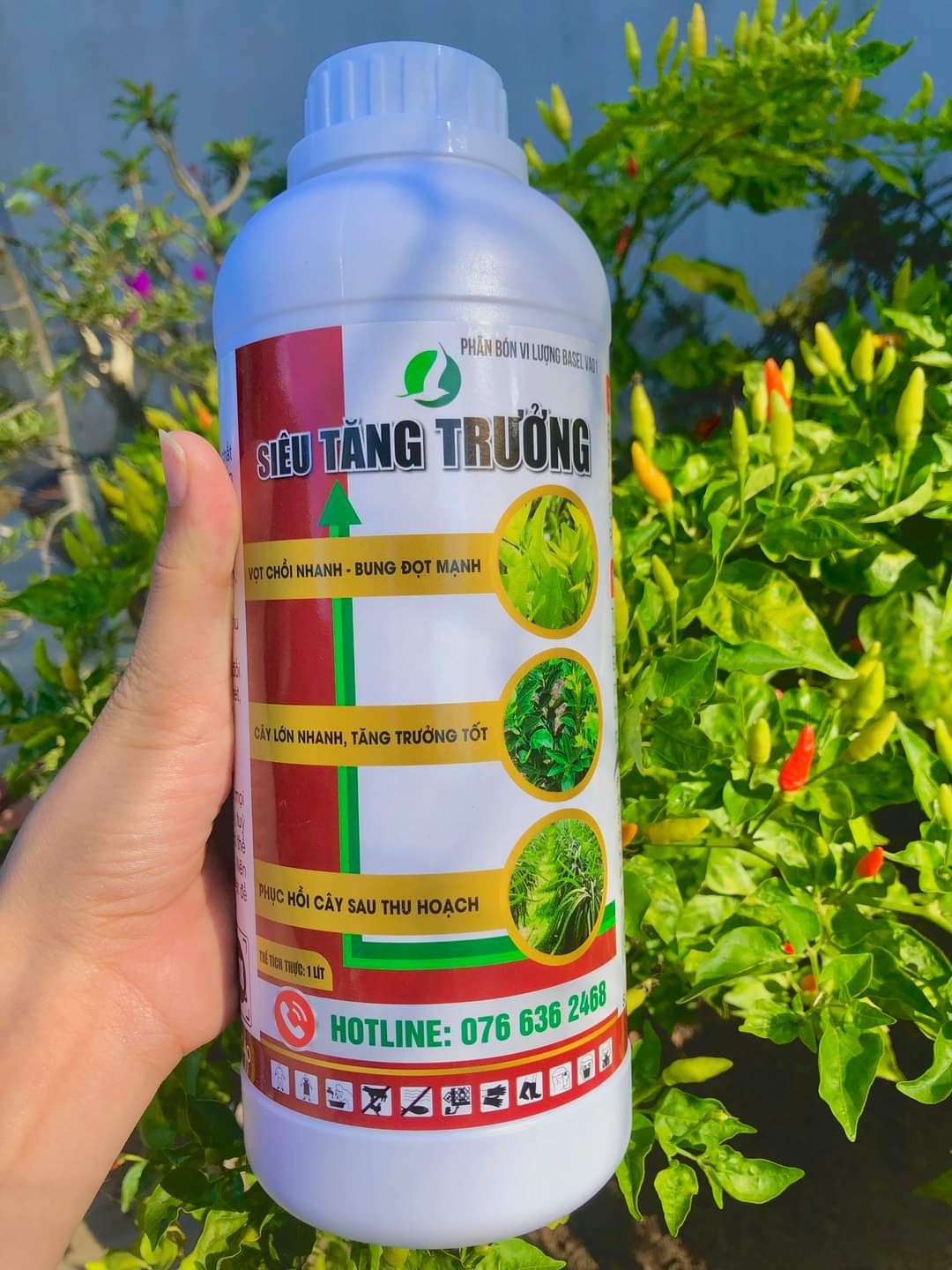 PHÂN BÓN LÁ SIÊU TĂNG TRƯỞNG - SIÊU BUNG ĐỌT/DƯỠNG CÂY CHAI 1 LÍT