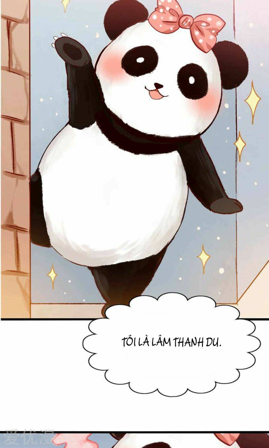 tôi bị gấu trúc nhìn trúng rồi chapter 1 7