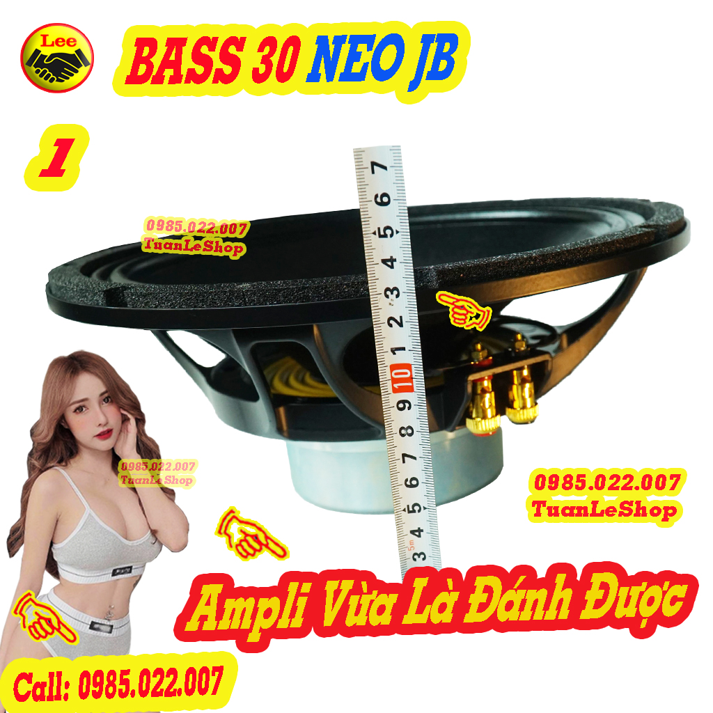 LOA BASS 30 TỪ NEO J B , LOA BASS 3 TẤC TỪ NEO 120 MM – GÁI 01 CHIẾC LOẠI XƯƠNG NHÔM 4 CHÂN