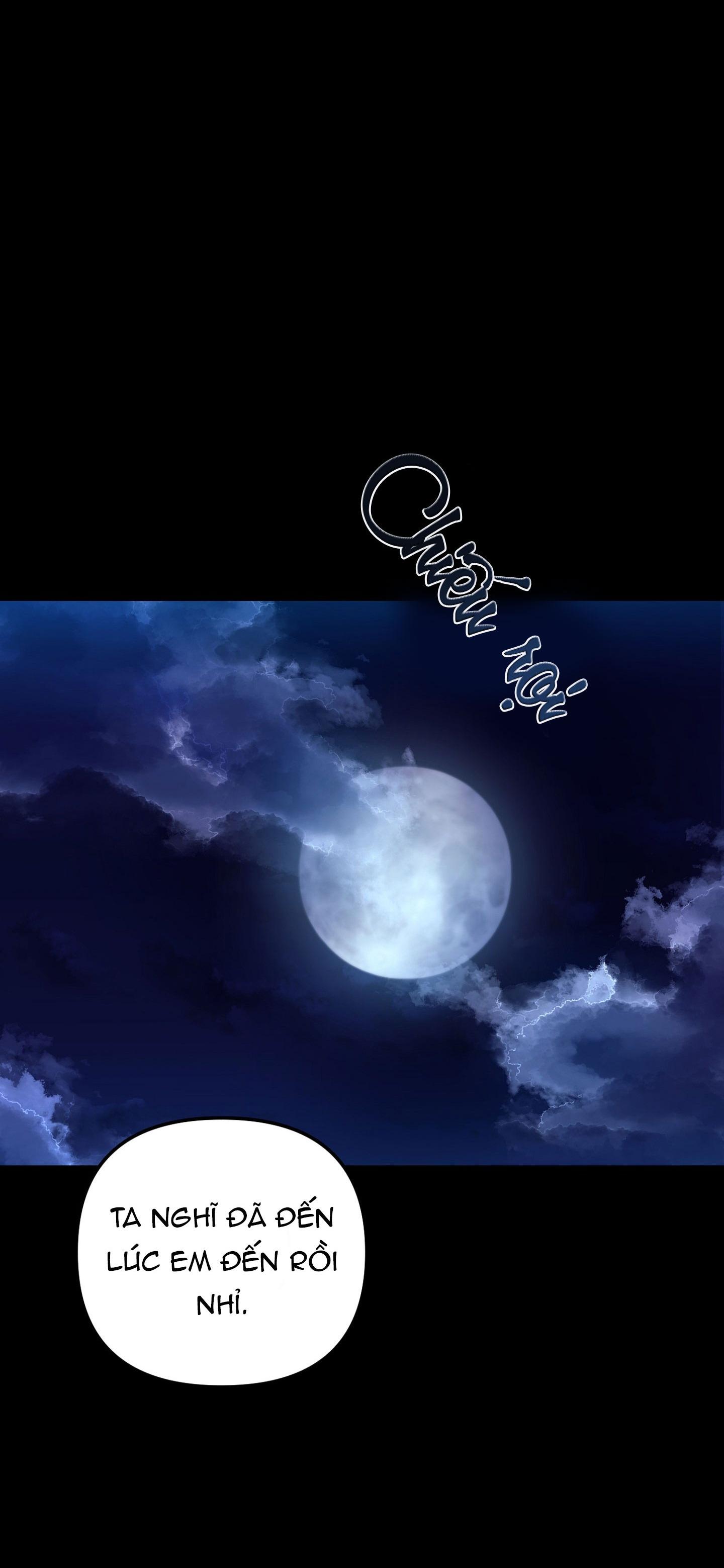 hổ trở về chapter 24 36