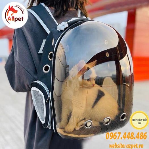Balo phi hành gia TRONG SUỐT cho chó mèo - Ba lô du lịch chó mèo nhiều mẫu, túi di chuyển thú cưng. Dưới 9kg