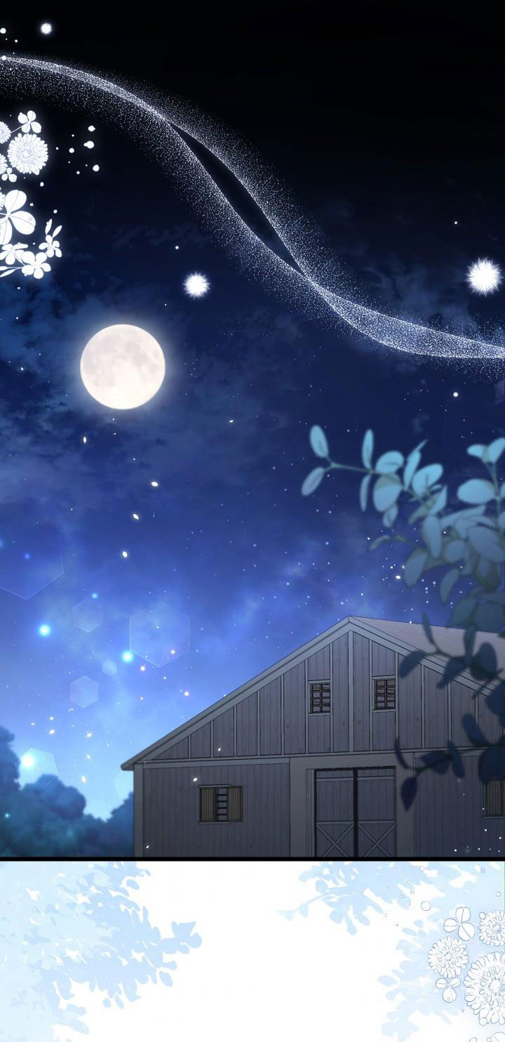 mối liên kết giữa báo đen và bé thỏ chapter 51 2