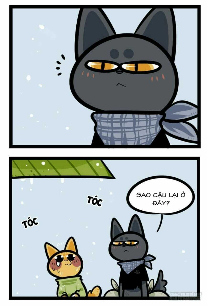 đời không như mình tưởng chapter 34 8