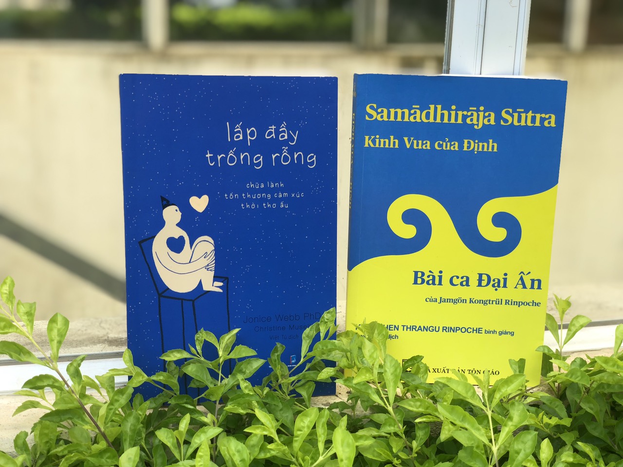 Combo Kinh Vua Của Định; Lấp Đầy Trống Rỗng - Chữa Lành Tổn Thương Cảm Xúc Thời Thơ Ấu