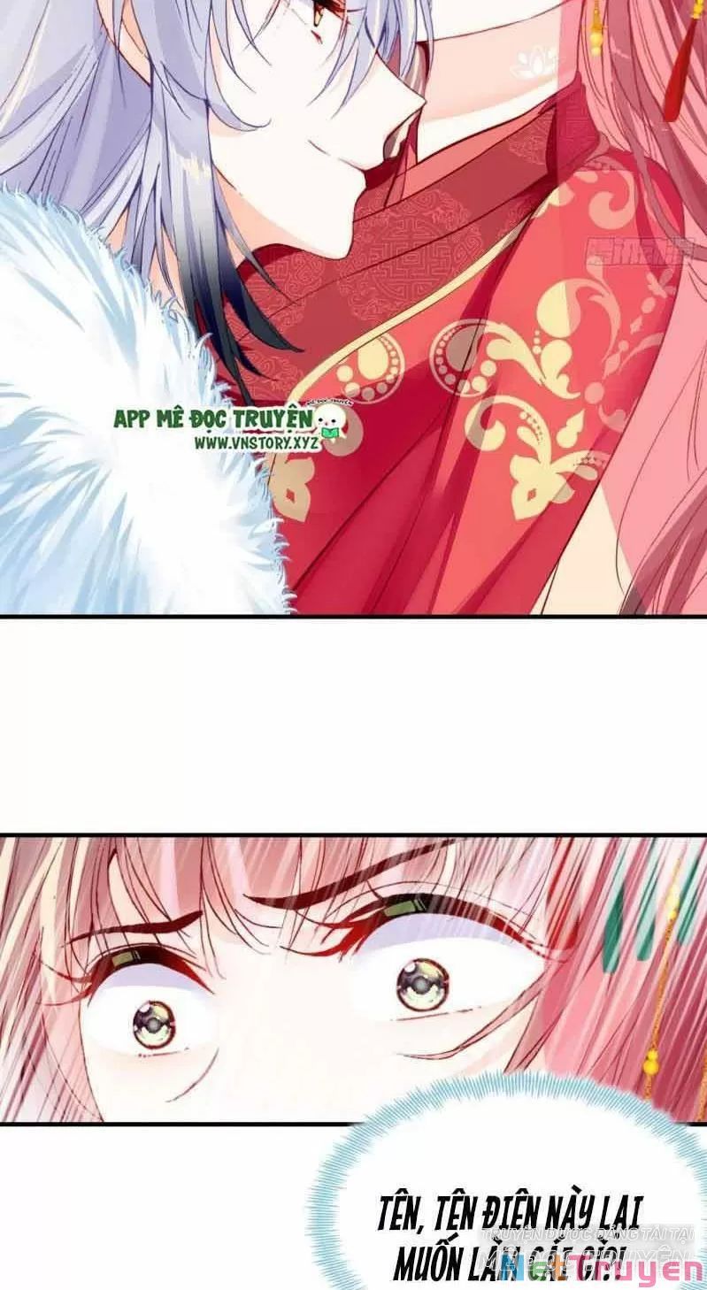 lại bị bệnh chiều chuộng quấn lấy chapter 2 41