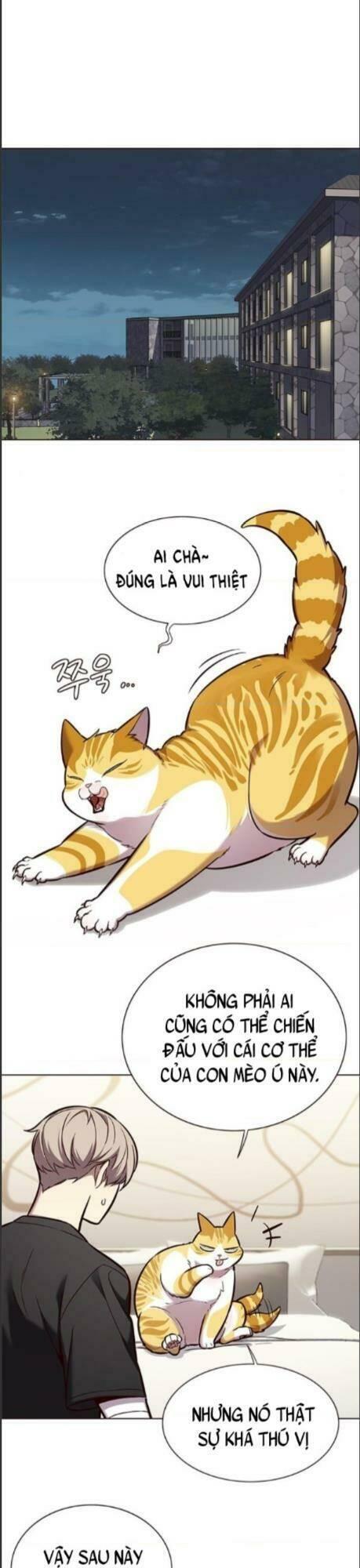 biến thân thành mèo chapter 164 9
