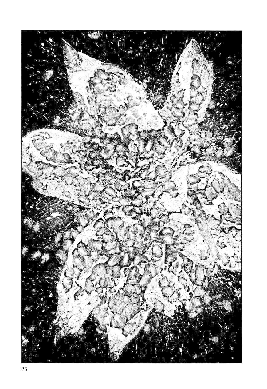 innocent chapter 9 24