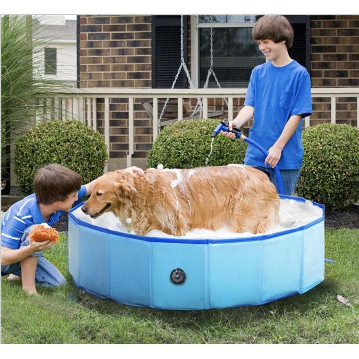 Hồ bơi tắm rửa cho Thú Cưng PORTABLE PAW POOL 80x20cm - AsiaMart