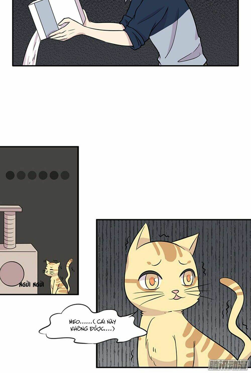 hai chú mèo totem chapter 15 12