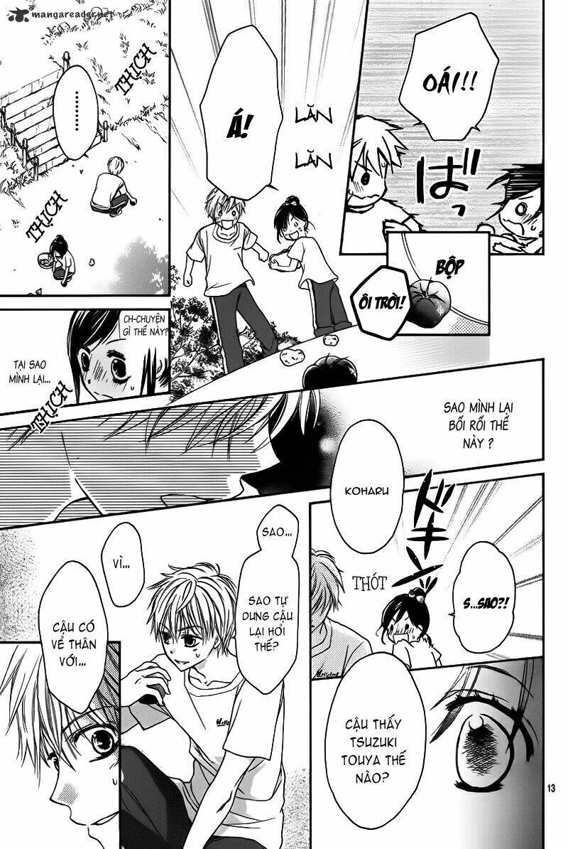 hachimitsu ni hatsukoi chapter 3 15