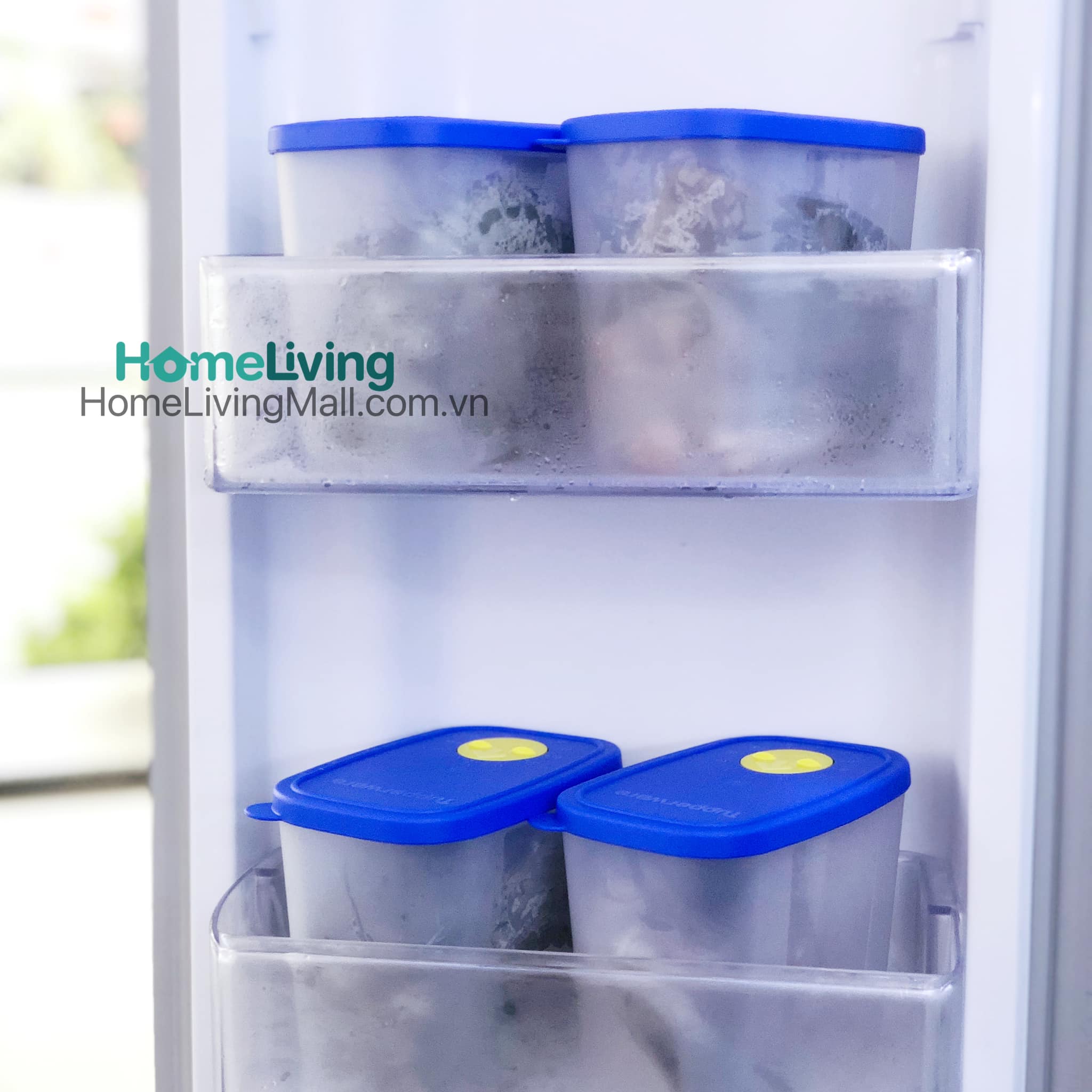 Set Trữ Đông Tupperware Modern 8 Hộp