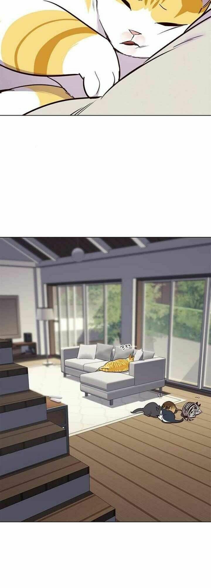 biến thân thành mèo chapter 101 8