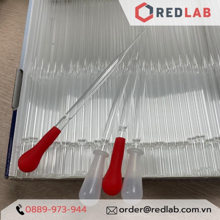 Combo Pipet Paster Thủy Tinh 23 cm và Quả bóp Cao su / Silicon