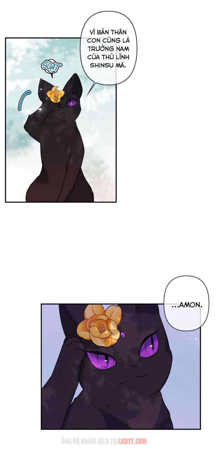 tôi đang nuôi dưỡng một con quái thú chapter 17 13