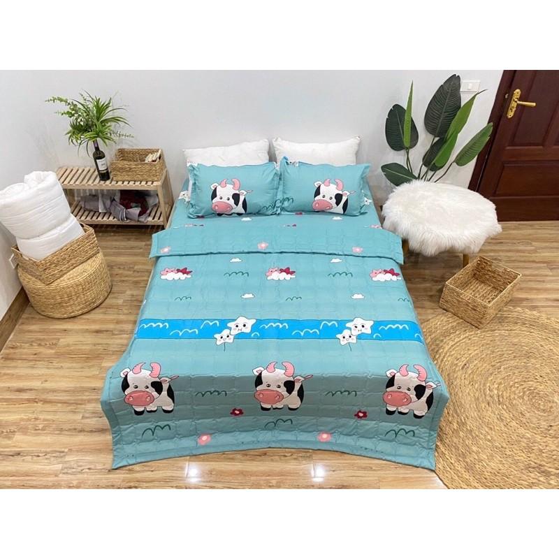 Bộ 5 Món Chăn Ga Gối Phong Cách Hàn Quốc