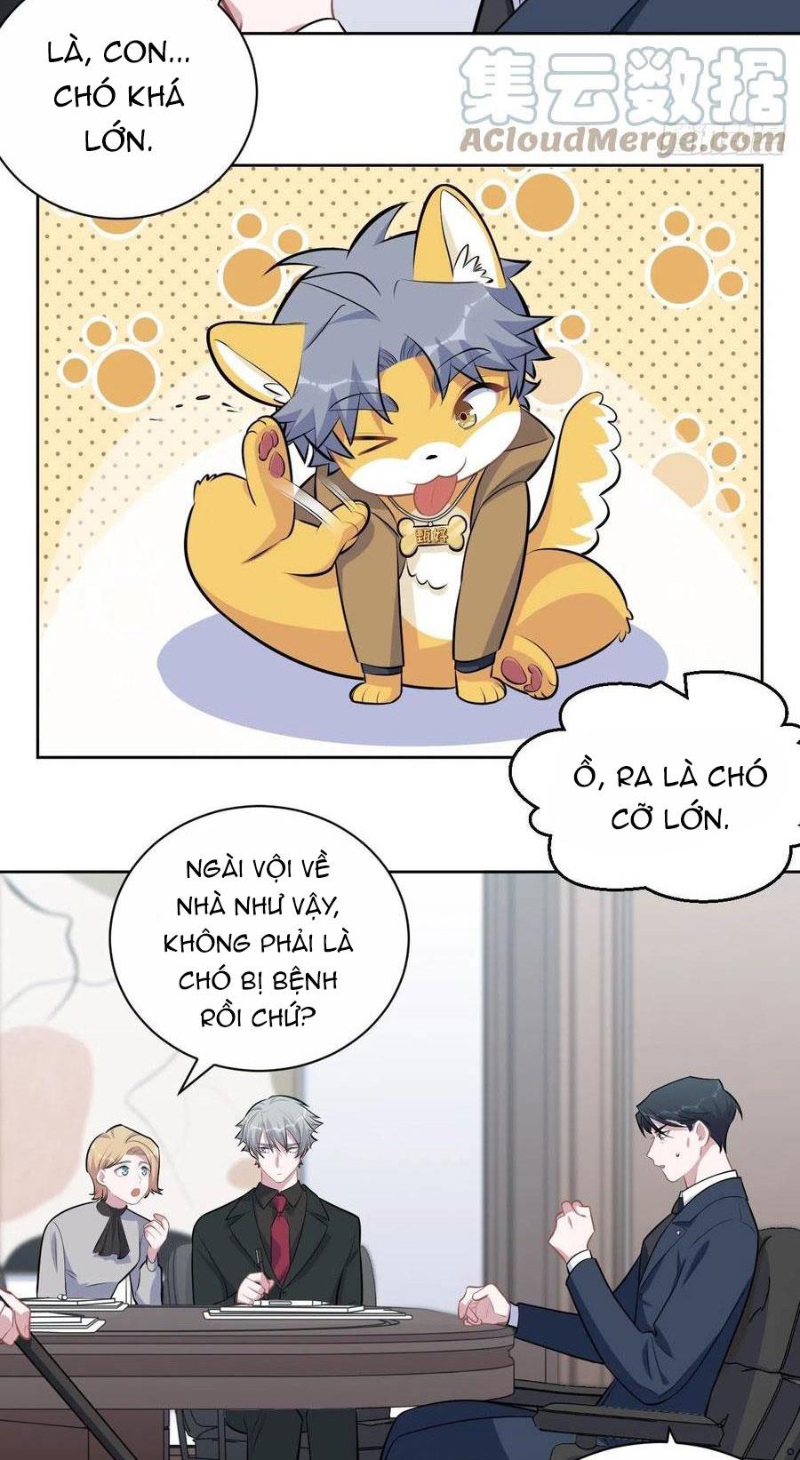 bố vợ đại nhân là bà xã chapter 163 21