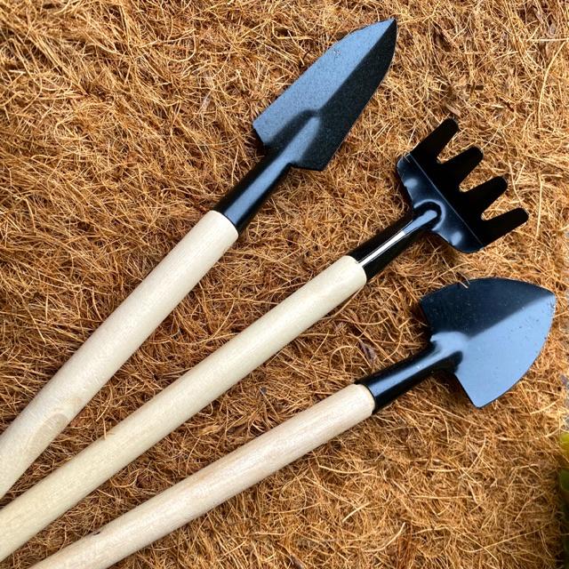 BỘ DỤNG CỤ LÀM VƯỜN MINI TRỒNG SEN ĐÁ, XƯƠNG RỒNG, CÂY CẢNH  SIÊU TIỆN LỢI, DỄ SỬ DỤNG