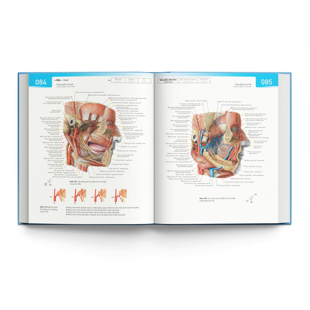 Sobotta Atlas Giải Phẫu Người