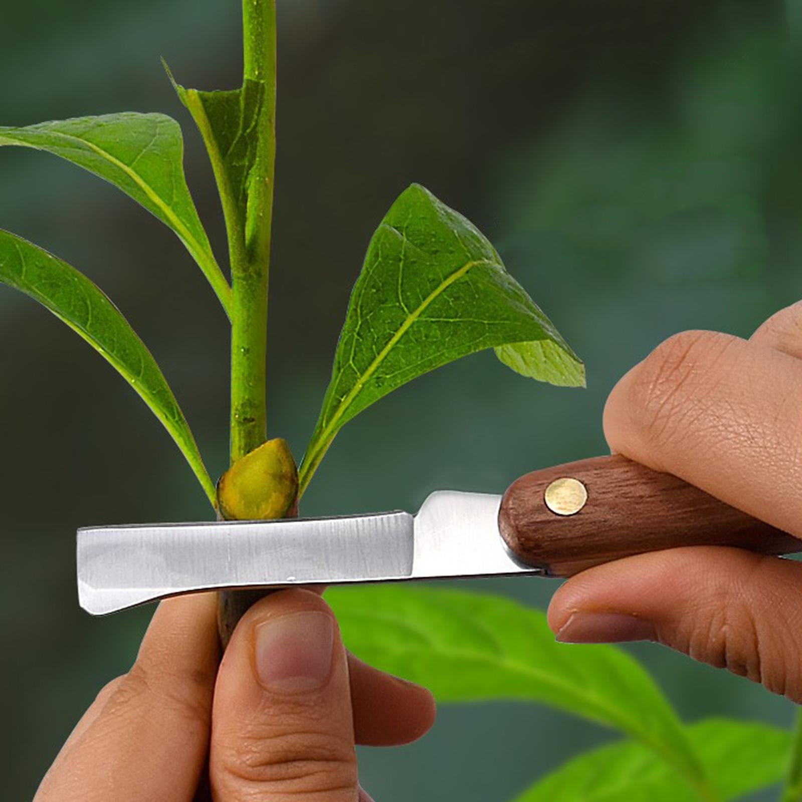 Garden Budding Knife Folding Cutting Tool Pruning Grafting Knife with Wooden Handle Folding Fruit Grafting Machine