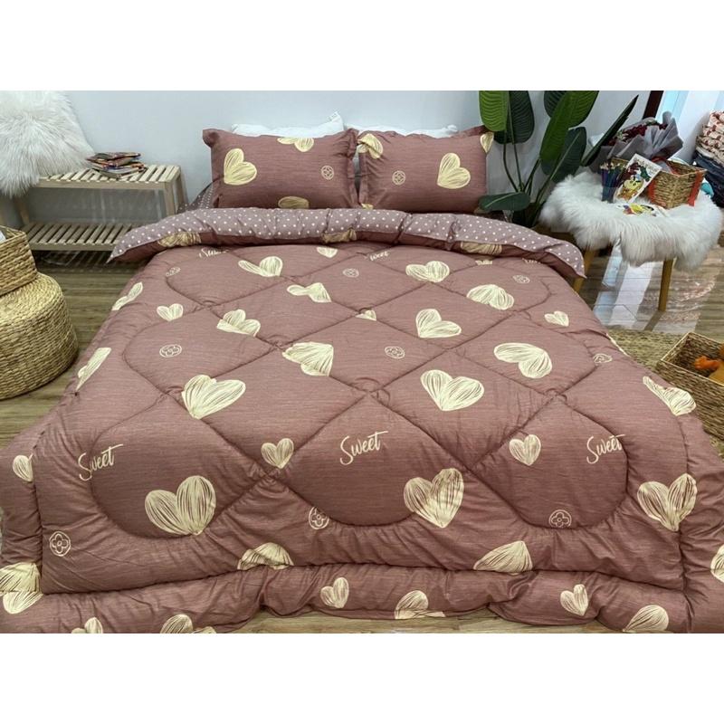 Bộ chăn ga cotton poly trần bông, nằm êm mềm mát