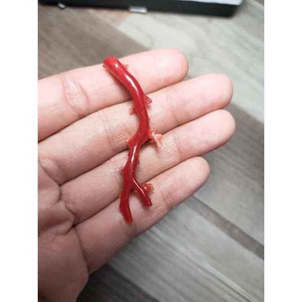 197- Đá San Hô Đỏ