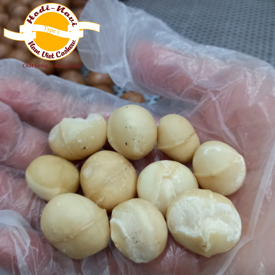 Hạt Macca nứt vỏ Hodi-Navi Hũ 500g xuất xứ Úc, tỉ lệ hạt nhiều, dễ tách vỏ, lượng dinh dưỡng cao có thể làm sữa hạt