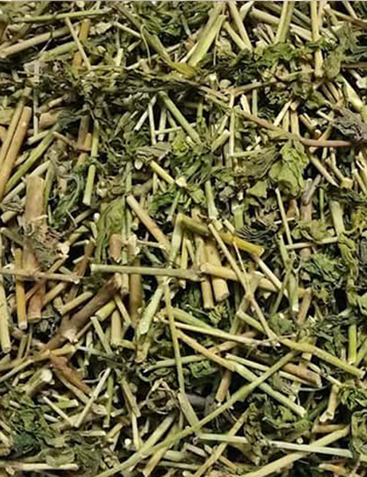 Cây xương khỉ - Cây bìm bịp - Cây mảng cộng - Khô 1kg