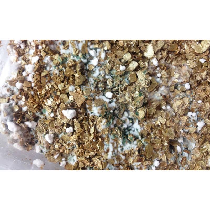 Chế phẩm sinh học Trichoderma Bacillus 200g cải tạo đất, cần thiết cho cây trồng - Shop hoa cây cảnh Hà Nội