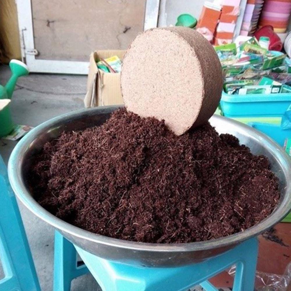 5 Viên Nén Mụn Dừa Hữu Cơ Trồng Rau, Trồng Cây