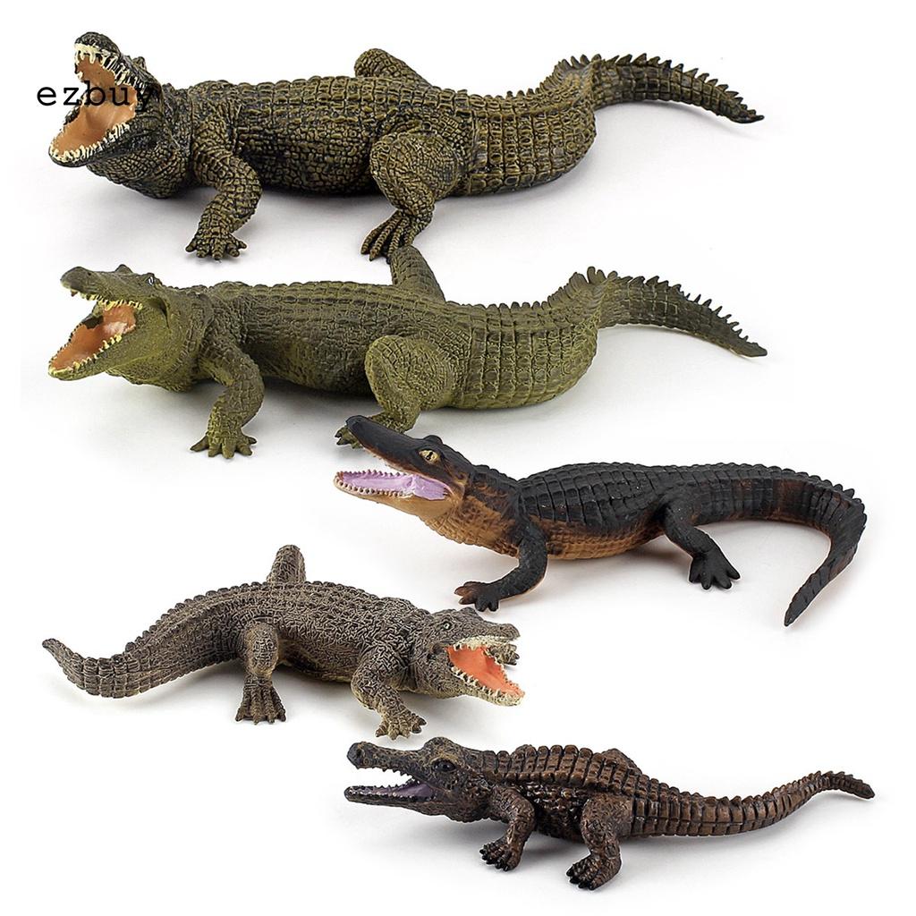 Lightweight Crocodiles Knowledge Toy Exquisite Crocodile Model Portable for Kids