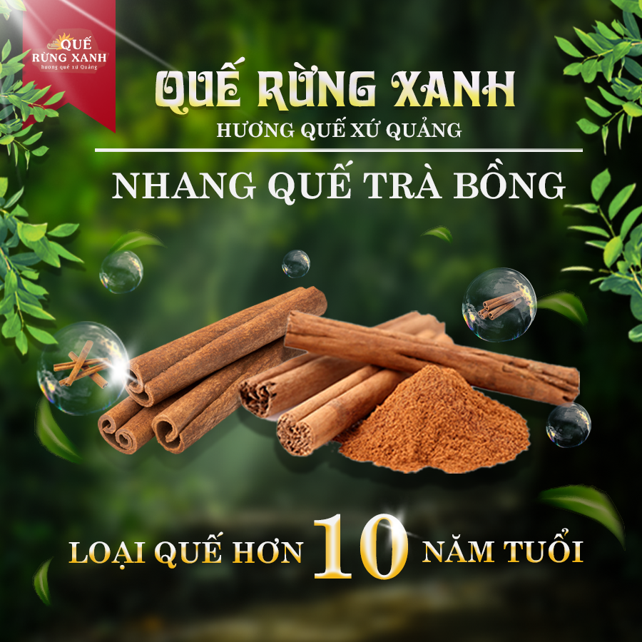 Combo 3 hộp nhang Quế Rừng Xanh - Quế nguyên chất, hương quế rừng tự nhiên, thanh lọc không khí, không gây độc hại đến sức khỏe, giúp tin thần thoải mái - 100% nguyên chất - Hàng chính hãng