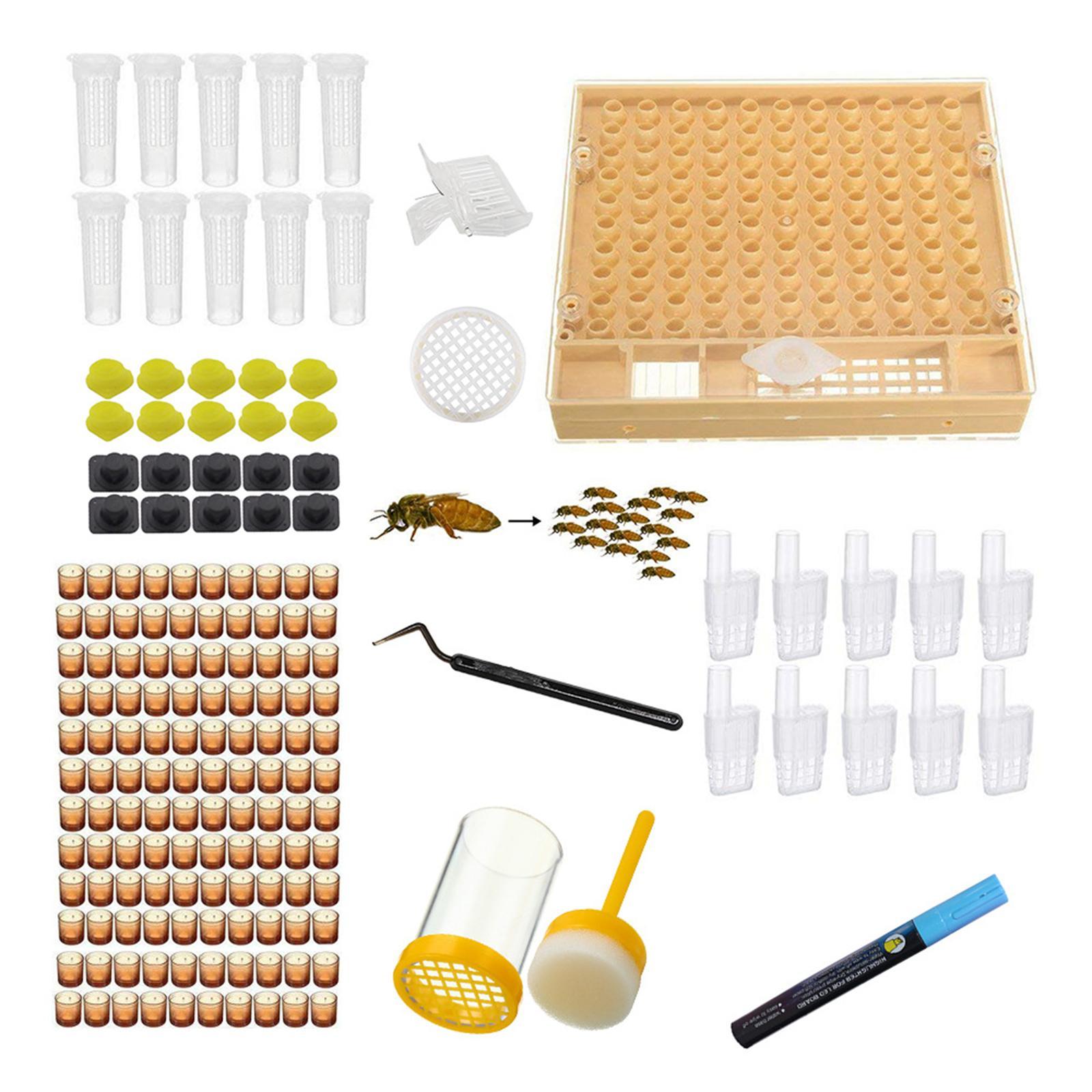 Queen Bee Rearing System Kit for Laying Eggs to Raise Queens Beekeeper Tool