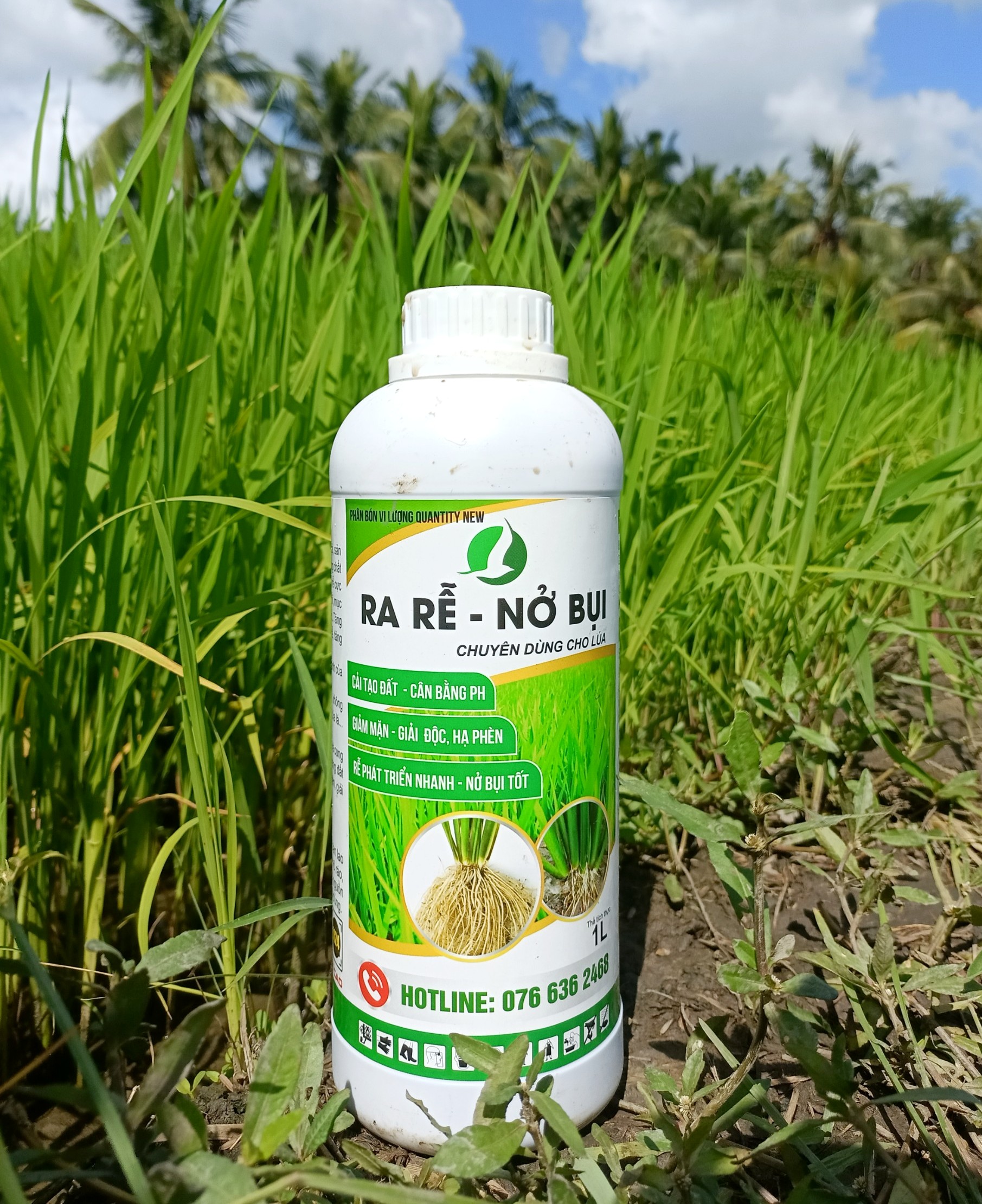PHÂN BÓN GIÚP LÁ LÚA XANH MƯỚT, CHỐNG VÀNG LÁ, RA RỄ, ĐẺ NHÁNH CỰC MẠNH - RA RỄ NỞ BỤI CHAI 500Ml VÀ 1L