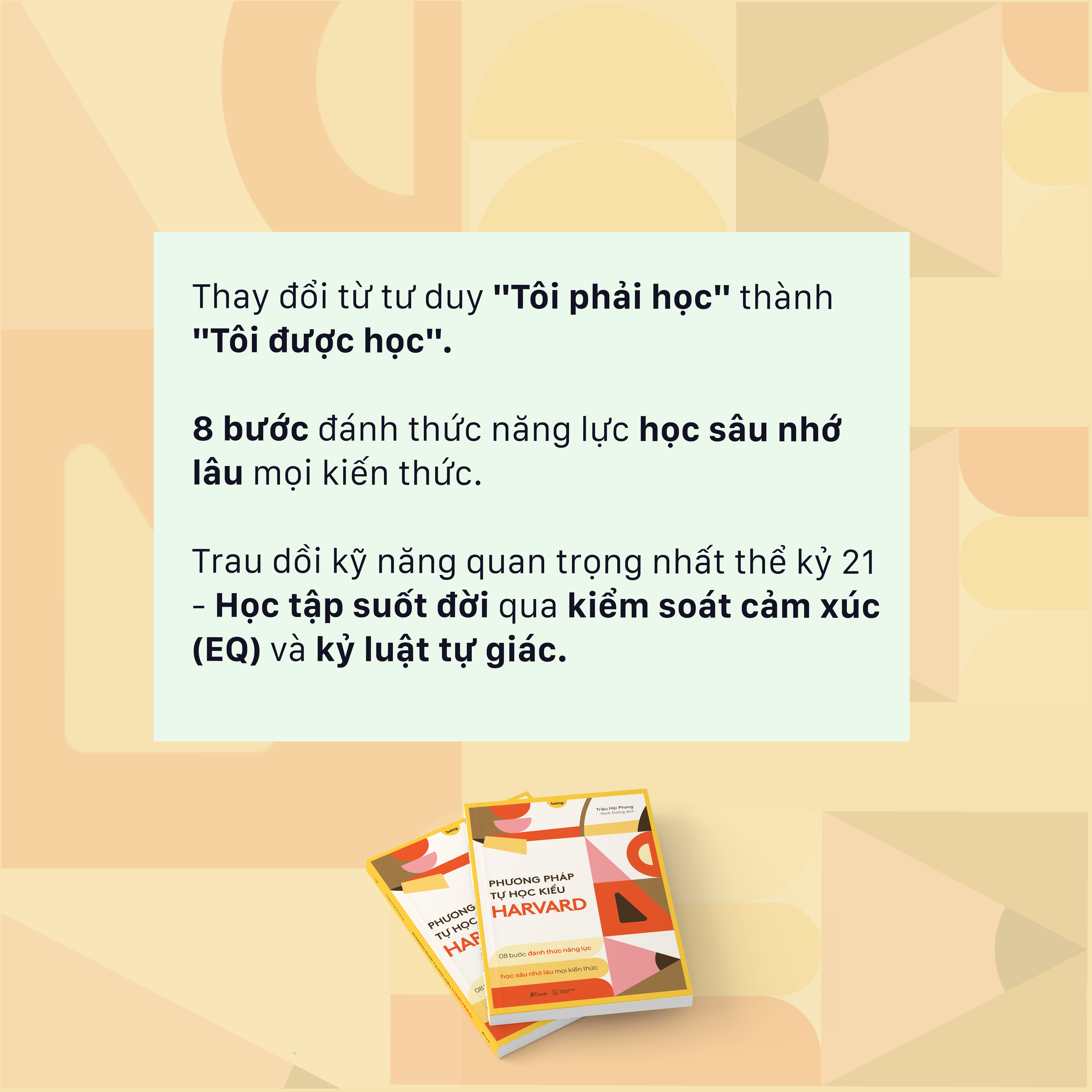 Sách Phương Pháp Tự Học Kiểu Harvard - 08 bước đánh thức năng lực học sâu nhớ lâu mọi kiến thức - ảnh 4