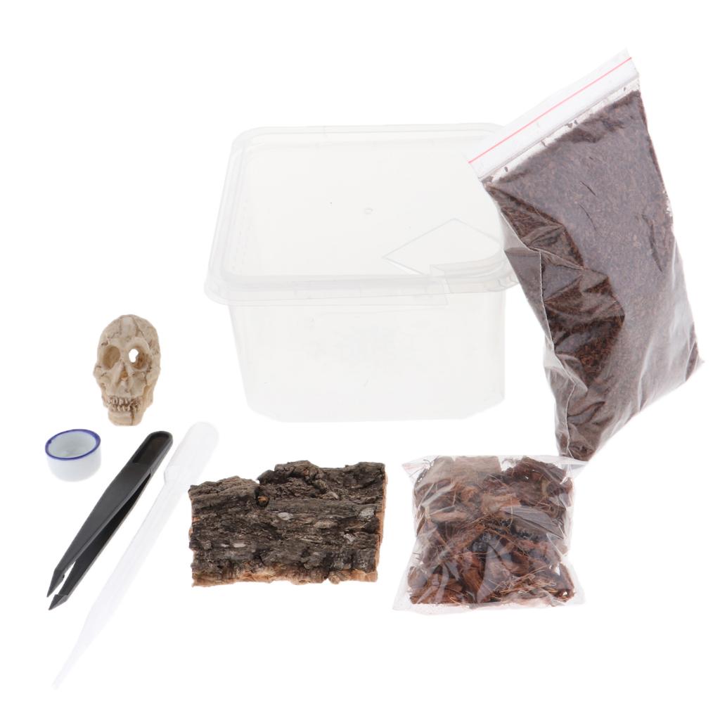 Reptiles Terrariums Feeding Box for Spider Insect Cricket Snail Frog L