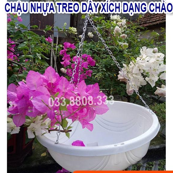 5 Chậu Chảo Nhựa Trắng 29x12 - Chậu Trồng Hoa Đẹp