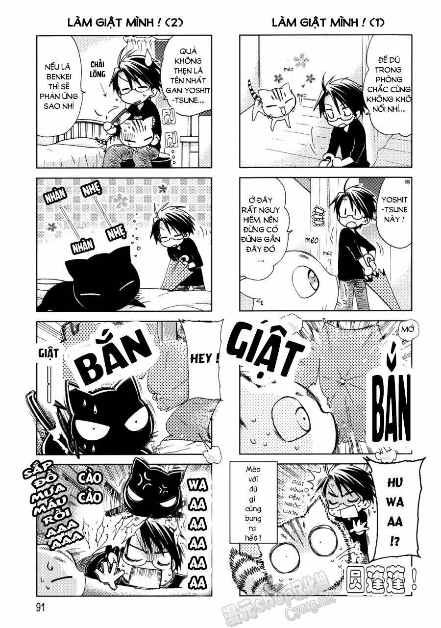 ashiya-san no neko chapter 12 3