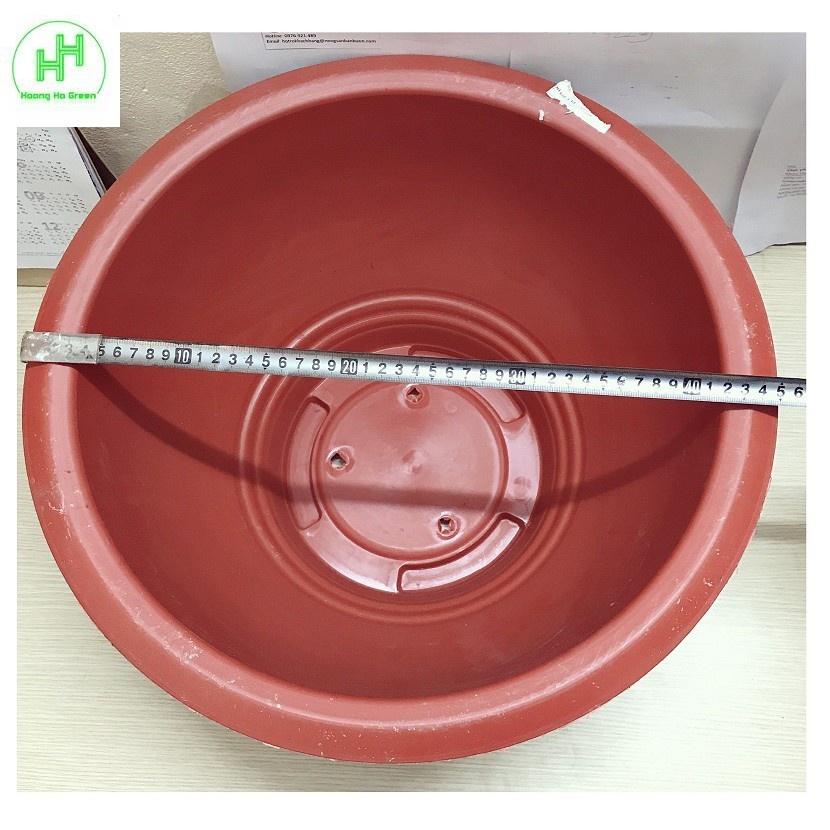 2 Chậu Nhựa Trồng Hoa, Cây Cảnh Bình Thuận Plastic PLT 480