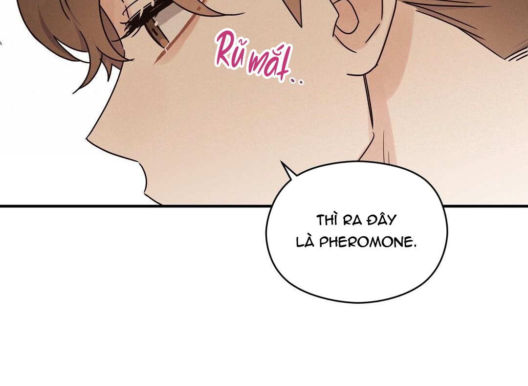 phức cảm tự ti của omega chapter 26 146