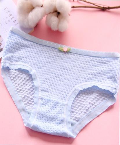 COMBO 05 QUẦN LÓT NỮ TĂM TRE HQ SIÊU ĐẸP, TÔN DÁNG, THOÁNG MÁT QL1605 (Màu ngẫu nhiên)