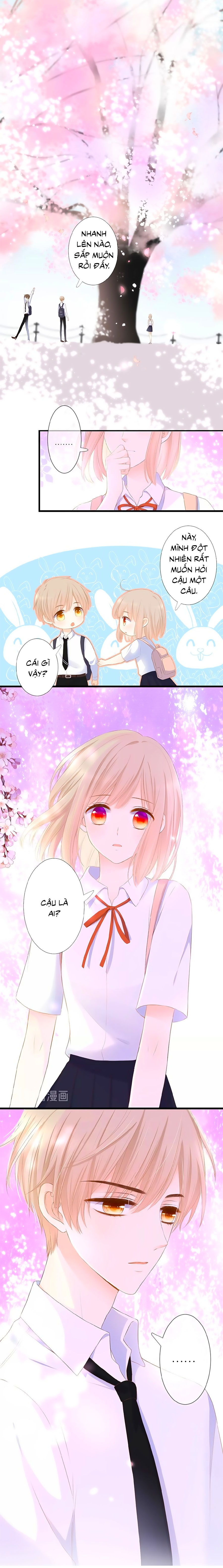 đóa hoa chớm nở chapter 15 3