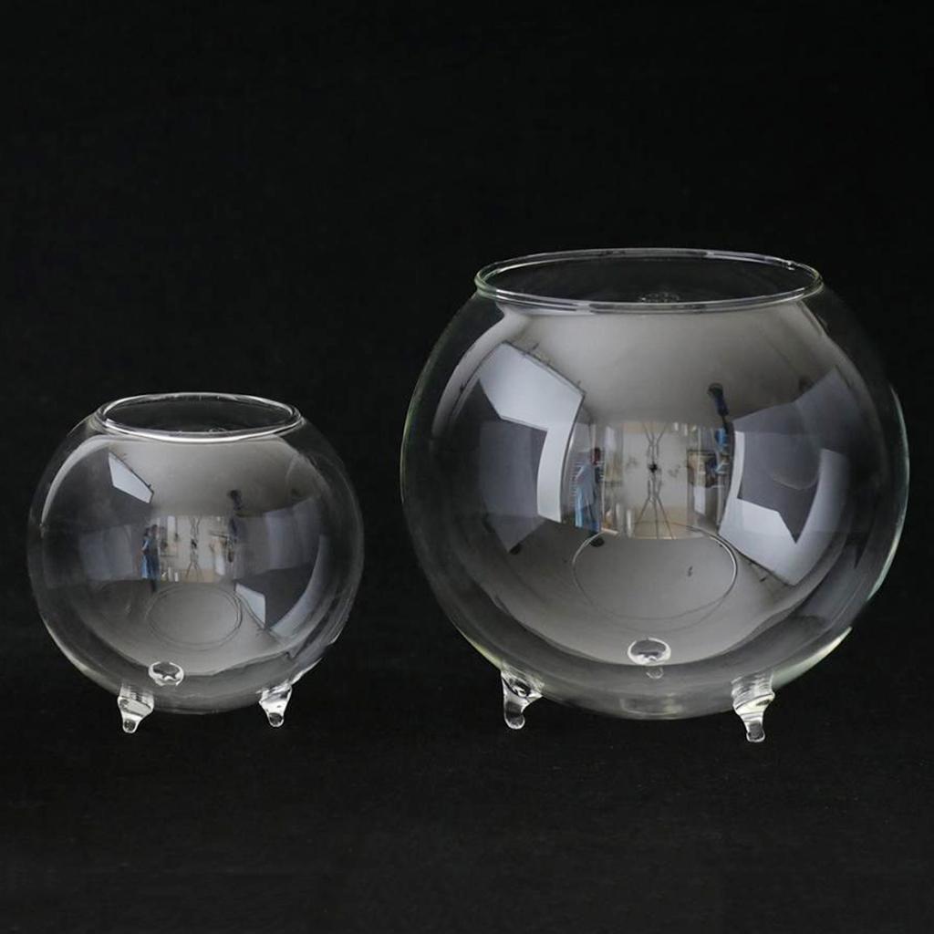 3 Xclear Kính Hoa Thủy Canh Bình Micro DIY Phong Cảnh Terrarium Chai S