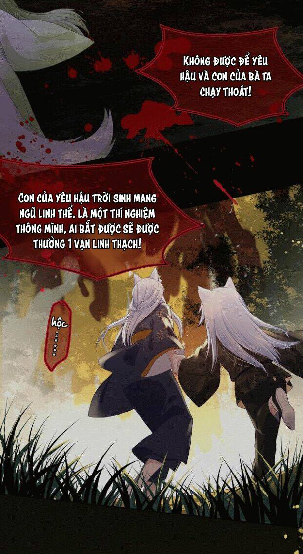 hắc hóa nam chính trực tuyến nuôi thỏ chapter 3 11